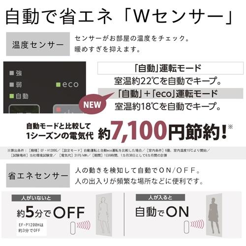 ダイニチ（Dainichi） ダイニチ工業 加湿セラミックファンヒーター H