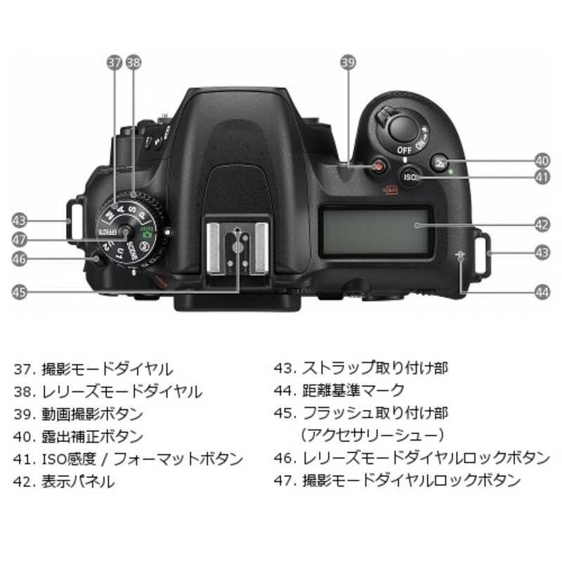 Nikon（ニコン） D7500 一眼レフカメラ ボディ 4K : ケーズデンキ
