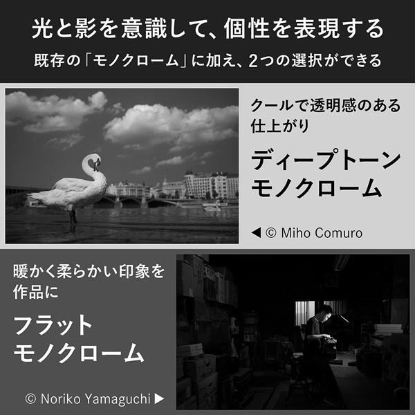 Nikon（ニコン） フルサイズミラーレスカメラ Z f Z fの画像
