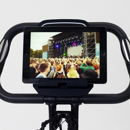 ALINCO（アルインコ） コンフォートバイク5322 AFBX5322