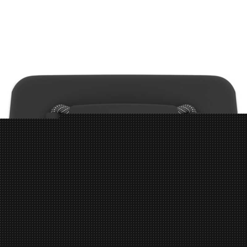 BOSE（ボーズ） SoundLink Max Portable Speaker Black ポータブル