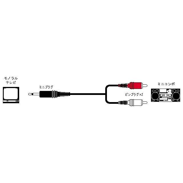 JVC オーディオコード ミニプラグ−ピンプラグ×2（3m） CN-132A