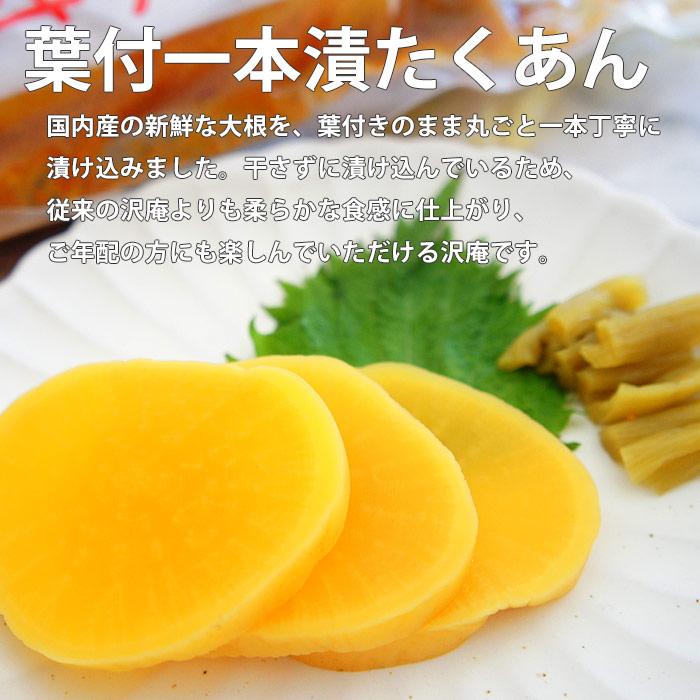 漬物 大根 葉付一本たくあん漬け ×5本 沢庵漬 お漬け物 めし友 たくわん ギフト つけもの ご飯のお供 人気 酒の肴 グルメ つまみ 葉 ...