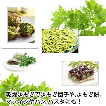 よもぎ 乾燥 25g×4袋 よもぎ茶 無農薬 国産 餅用 蓬 粉末 粉 ヨモギ茶