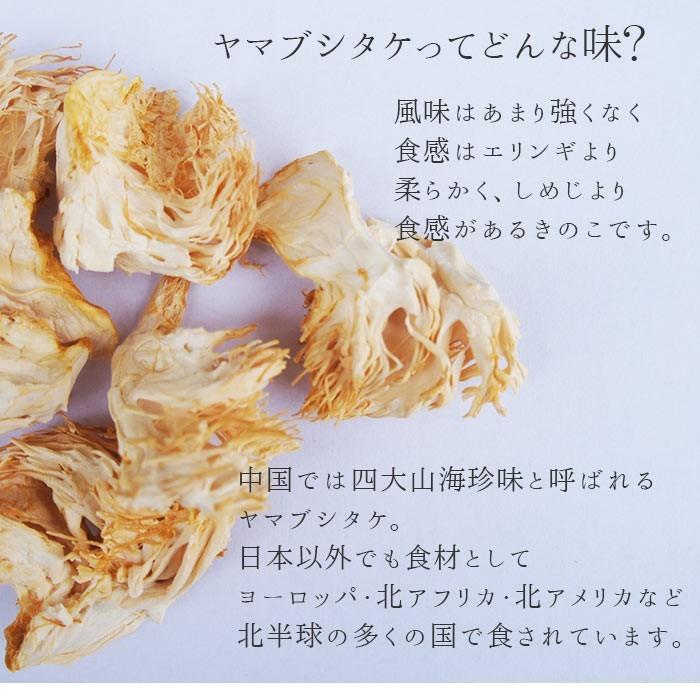 メガ盛り ヤマブシタケ パウダー 20g×1袋 国産 乾燥ヘリセノン や