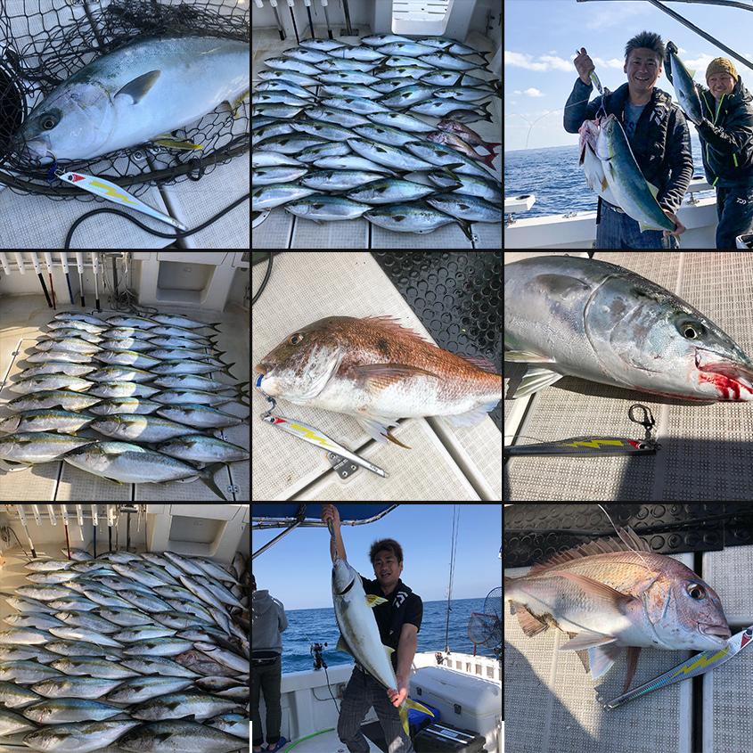 電*ン様 ココスヤシシルバーリーフ【極太】葉先130cm幹回り70cm 幹高20 ふ*ん様 ココスヤシシルバーリーフ【極太】葉先130cm幹回り70cm 幹高