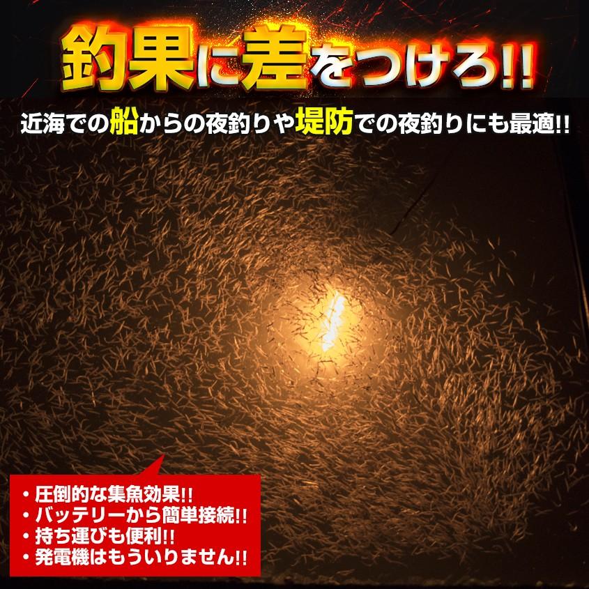 K'sガレージ 集魚灯 12v 専用 水中ライト シラスウナギ水中灯 K'sガレージ 集魚灯 12v 専用 水中ライト シラスウナギ水中灯