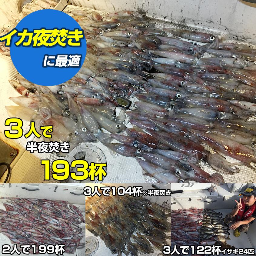 集魚灯 イカ釣り LEDライト 126w オレンジ 3000k 白ボディ 12v 24v 対応 集魚ライト 船 ボート デッキライト 投光器 電球色 イカメタル｜ksgarage｜06