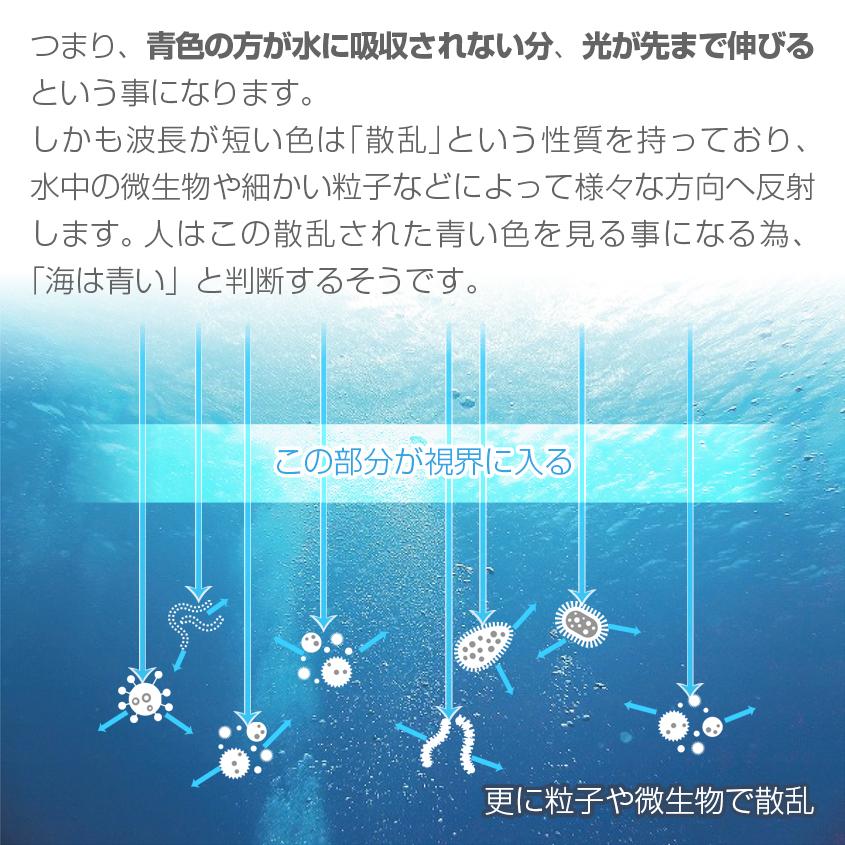 集魚灯 12v アジ 釣り 青 45w バッテリー 接続キット 防水コネクタ バッテリークリップ 延長配線 3m 付属 集魚ライト イカ 投光器 24v 対応｜ksgarage｜09