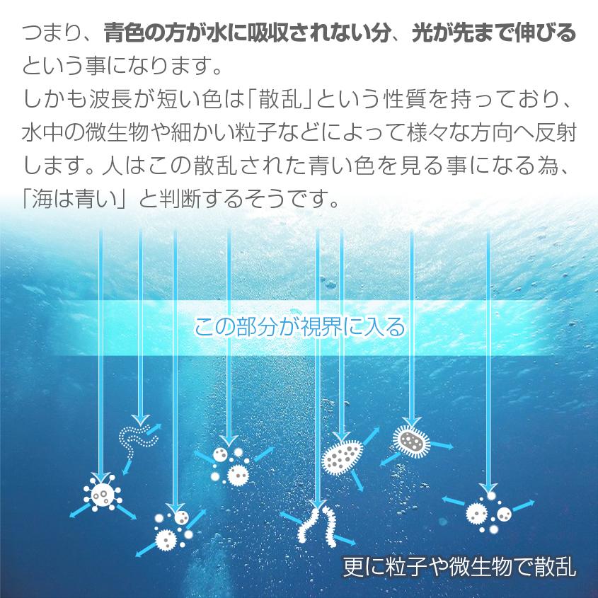 集魚灯 アジ 釣り 青 45w 集魚ライト 12v 24v バッテリー対応 ブルーライト LEDチップ搭載 タチウオ いさき サンマ 投光器 イカ釣り ライト｜ksgarage｜09