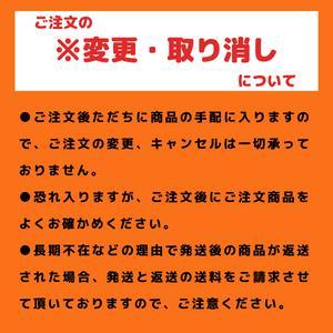 掃除機 マキタ コードレス掃除機CL281 カプセル式&サイクロン 標準50分稼働 18Vバッテリ充電器別売 CL281FDZCW【本体のみ】｜ksi-st2｜08