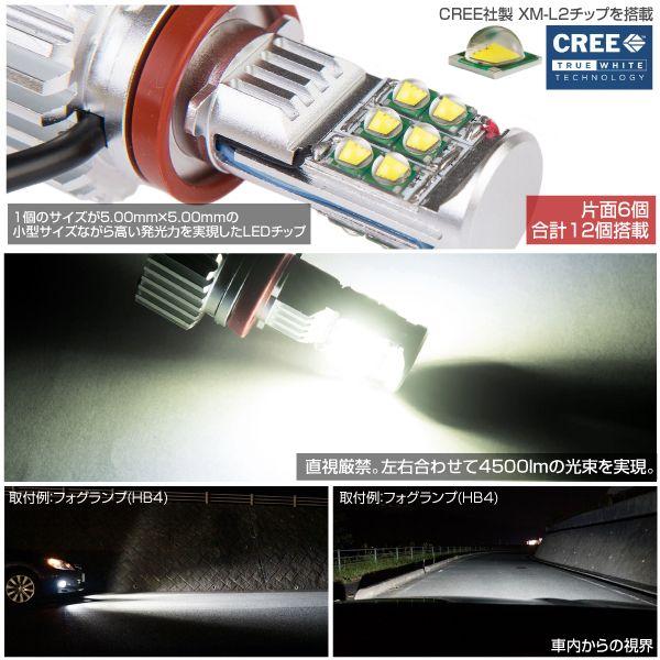 H8 H9 H11 H16 LED フォグランプ CREE 4500LM 6500K 純白光 2個セット