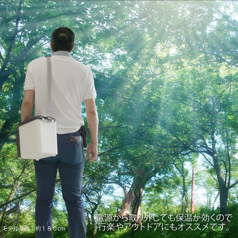 車載 冷蔵庫 保温庫 6L 軽量1.8k 保冷温庫 小型 ポータブル シガー電源