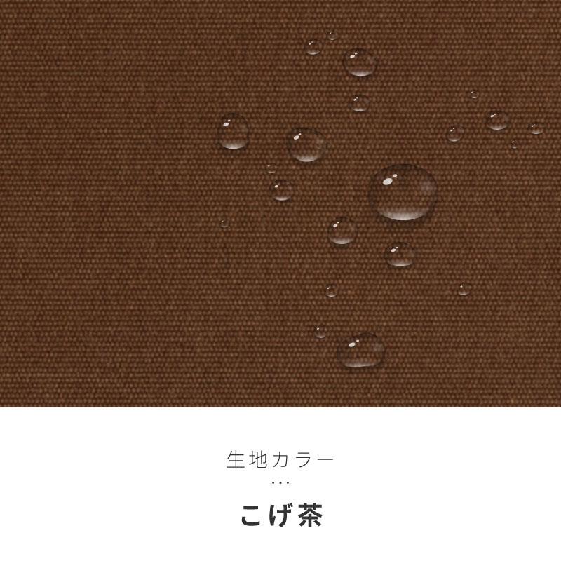 オーニングテント 3M 張出 2m 巻き取り式 防水 格納式 手動 黒フレーム