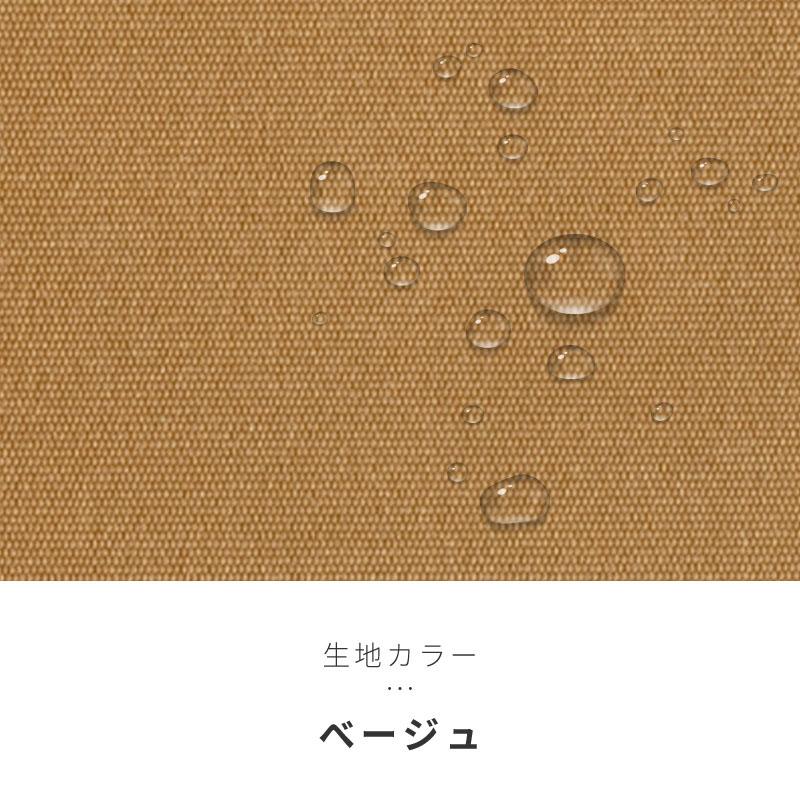 オーニングテント 3M 張出 2m 巻き取り式 防水 格納式 手動 黒フレーム