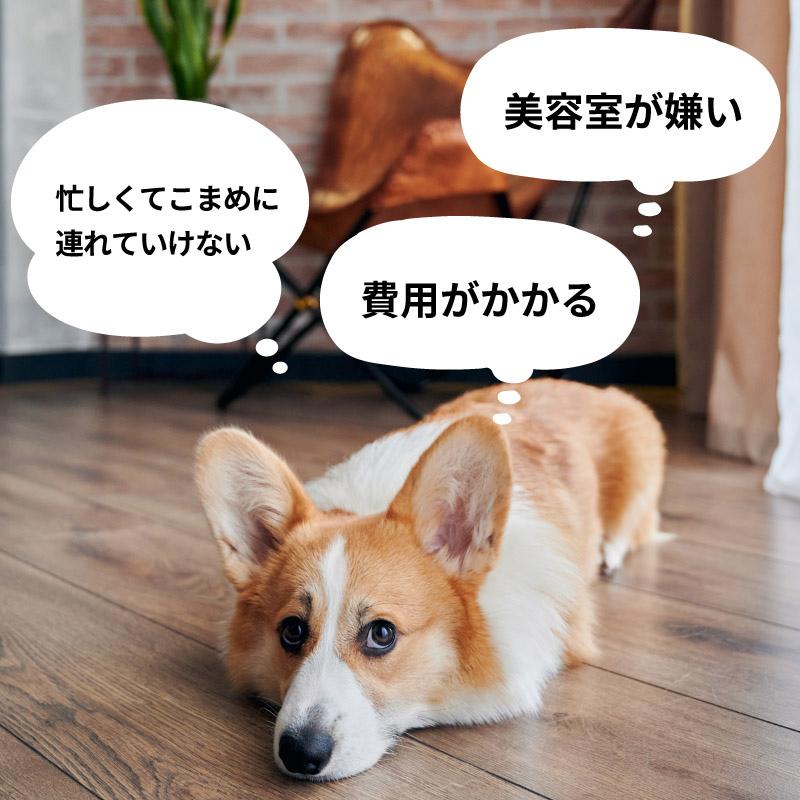 トリミング シザー ハサミ カーブ 犬 猫 トリミングセット 7点