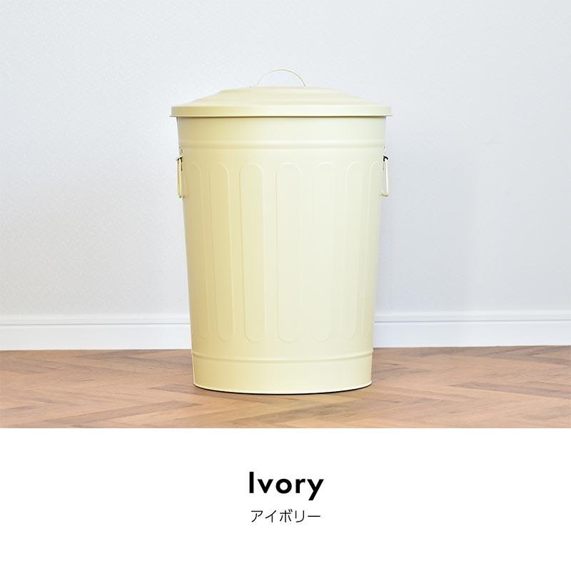 ゴミ箱 49リットル おしゃれ ふた付き 大容量 スチール製 丈夫 屋外