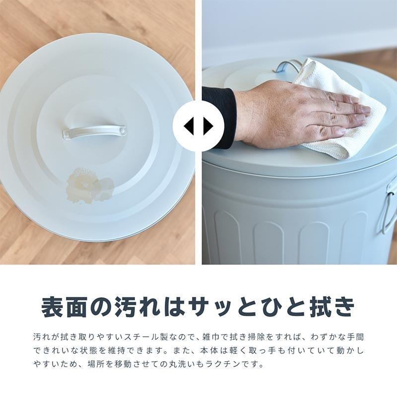 ゴミ箱 49リットル おしゃれ ふた付き 大容量 スチール製 丈夫 屋外