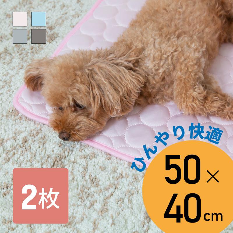 超人気の ひんやりマット 冷感敷きパッド Sサイズ 犬 猫 冷感 ひんやり クール マット シート ラグ パッド シーツ 生地 犬用 小型犬 猫用2 480円 Aynaelda Com