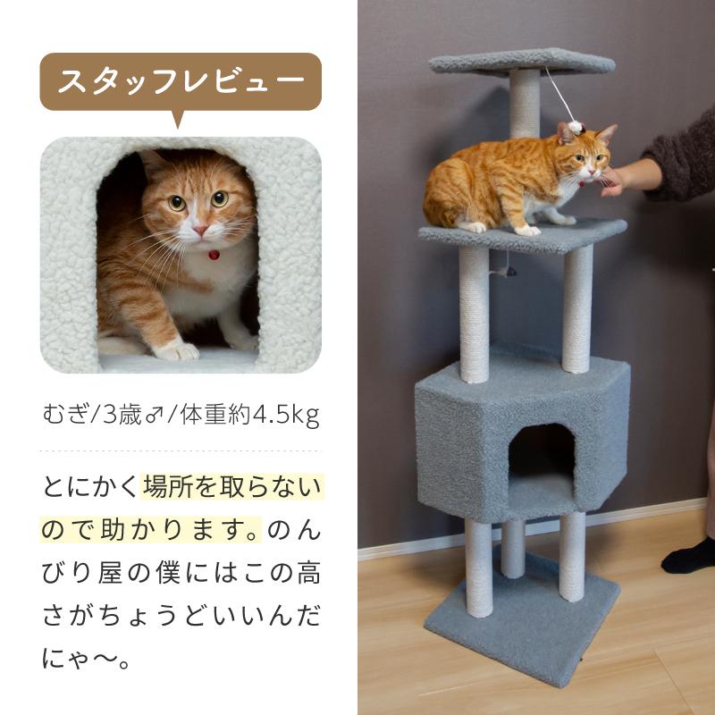 低めの段差があるキャットタワー、子猫やシニア猫向け