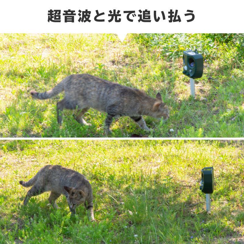 良質 動物撃退器 超音波 ソーラー式 Usb充電式 害獣撃退器 防水 屋外 猫よけ 鳩 カラス ネズミ イノシシ 犬 鳥 コウモリ 2個セット Riosmauricio Com