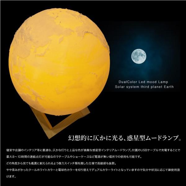 LED 地球儀 インテリア 直径20cm USB充電式 ホワイト 暖色 切替 ムード