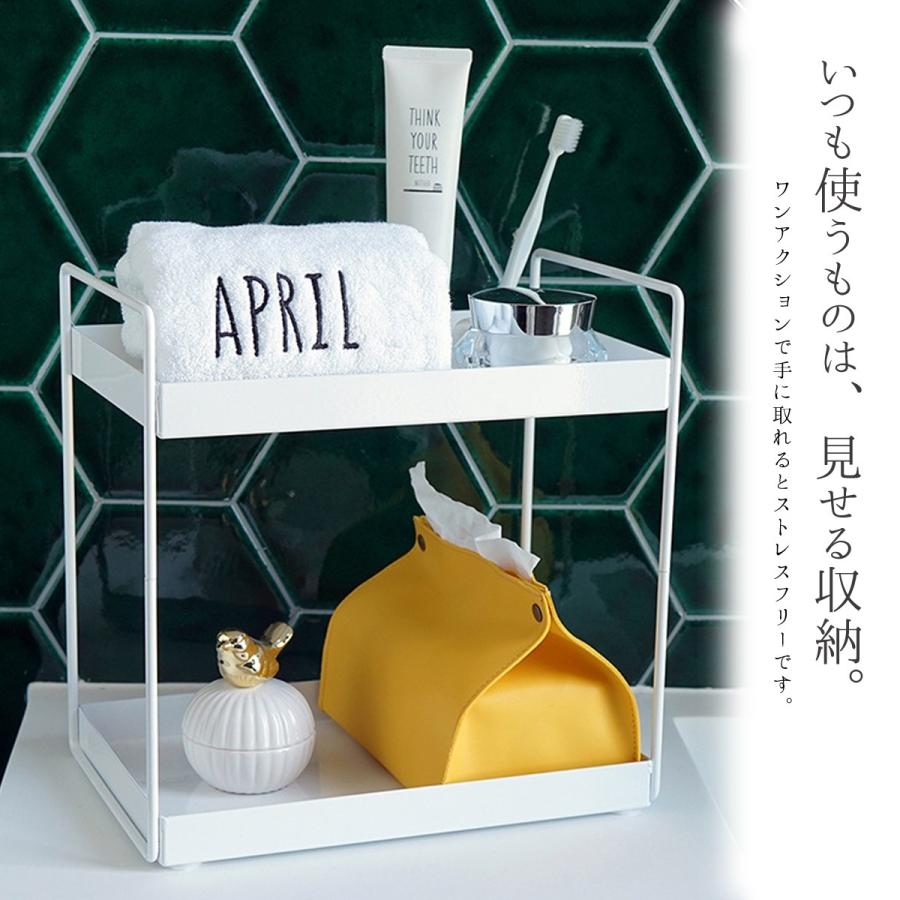 アイアン ディスプレイ 2段 ラック 収納 オブジェ 北欧 小物置き 黒 白