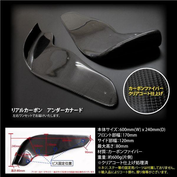カナード カーボン 汎用 フロント FRP製 クリアゲルコート仕上げ TYPE