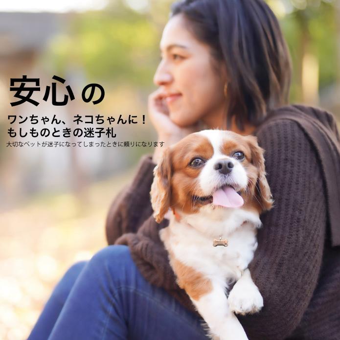 無料 名入れ ペット 名札 ステンレス ペットネームタグ プレゼント