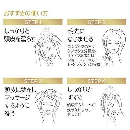 ロレアル パリ ロレアルパリ エルセーヴ ノーシャンプー ロレアル パリ ロレアルパリ エルセーヴ ノーシャンプー