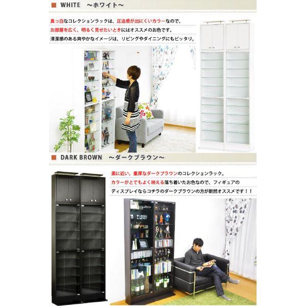 ショーケース/コレクションラック 〔浅型 ハイタイプ専用上置き