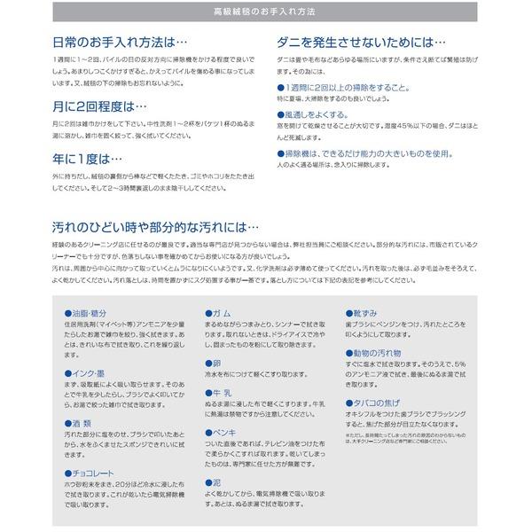 防炎＆防音 ナイロンラグ/絨毯 〔140cm×200cm ベージュ〕 長方形 日本製 スミノエ 『カーム』 〔リビング〕_5