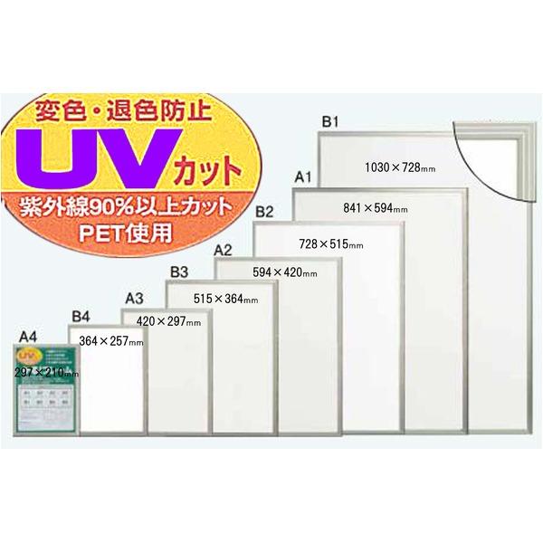 パネルフレーム ポスター額縁 B1 内寸：1030×728mm シルバー 壁掛けひも付き 前面：UVカットPET かる フレーム 額