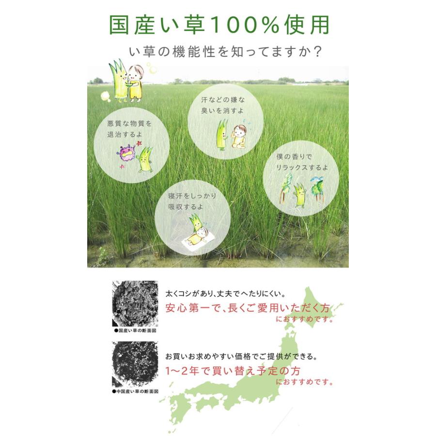 ふっくら い草 ラグマット/絨毯 〔グリーン 約191cm×191cm〕 日本製 