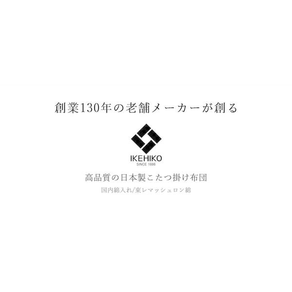 軽量 こたつ布団 〔ブラウン 約205cm×245cm〕 洗える 長方形 ピーチスキン 〔リビング〕の画像