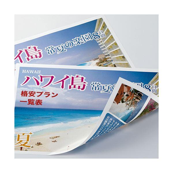 (まとめ) コクヨ カラーレーザー＆カラーコピー用紙 両面光沢紙 A4 LBP-FG1810 1冊（25枚） 〔×10セット〕_1