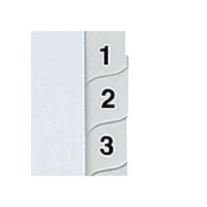 (まとめ) マルマン 2穴 文字入り ラミネートタブインデックス A4タテ 数字(1〜31) 31山+扉紙 LT4231S 1組 〔×10セット〕の画像