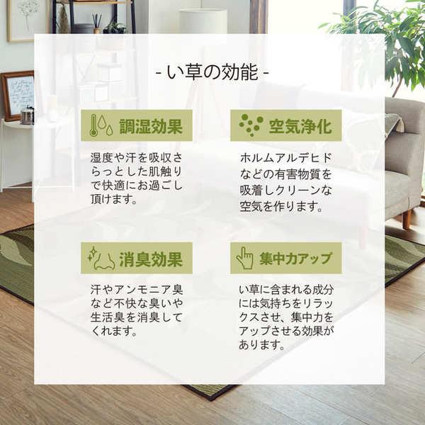 消臭い草 ラグマット/絨毯 〔長方形 リーフ ブラウン 約191×300cm〕 裏：不織布 防滑 抗菌 防臭 湿度調整効果 〔リビング〕