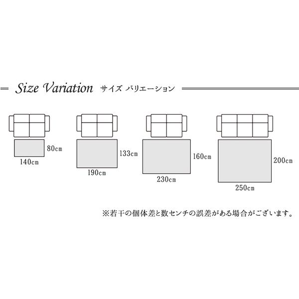 トルコ製 ラグマット/絨毯 〔約133×190cm ブラック〕 長方形 抗菌防臭 消臭 へたりにくい ホットカーペット 床暖房対応_6