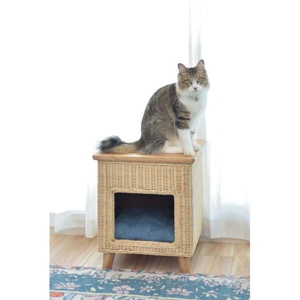 ペットハウス ペット用品 幅40×奥行40×高さ45cm 座れる仕様 木製 パイン ペットスツール プレゼントの画像