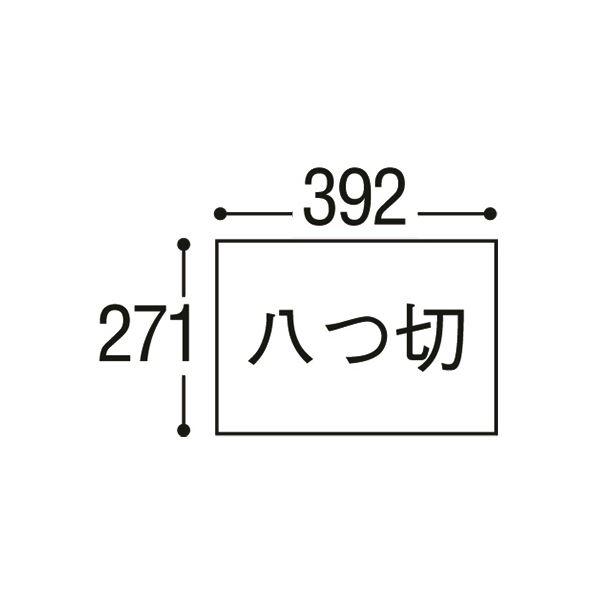 （まとめ）リンテック ニューカラーR 八つ切 ゆき8NCR-151 1パック(100枚)〔×5セット〕_2