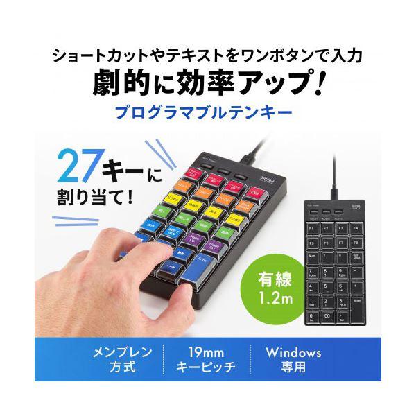 サンワサプライ プログラマブルテンキー 有線モデル NT-26UBK_1