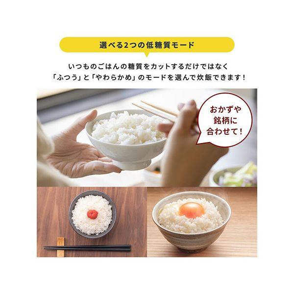 SOUYI JAPAN 糖質カット炊飯器 かんたん糖質制限 通常の炊飯釜と糖質