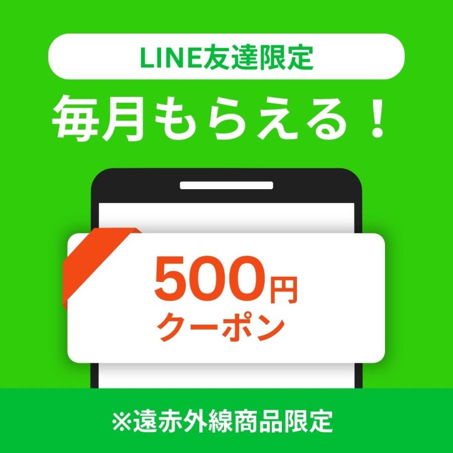 遠赤外線 足首サポーター 冷え対策 遠赤外線フリーバンドL 足首 保温
