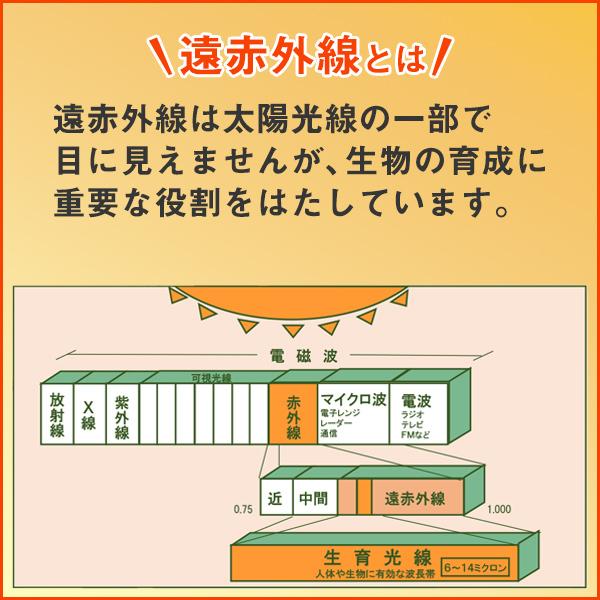 冷え対策・保温グッズ M. 冷え性改善グッズ 温活 遠赤外線シート 20×25cm 5枚セット