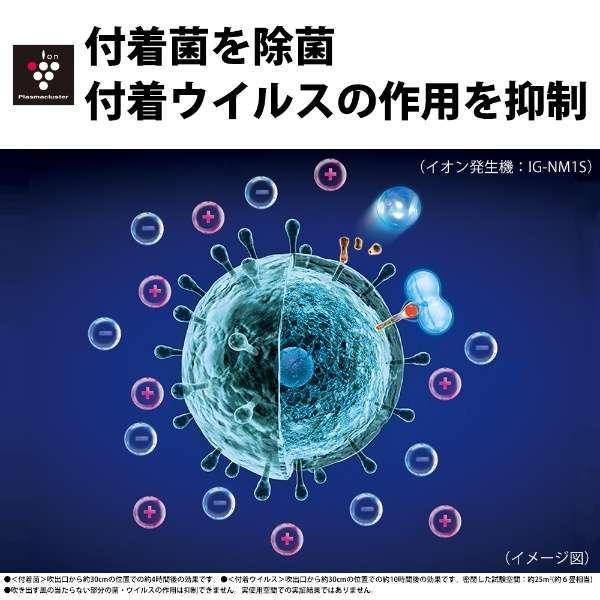 シャープ プラズマクラスター モバイル イオン発生機 IG-NM1S｜kst-japan｜05