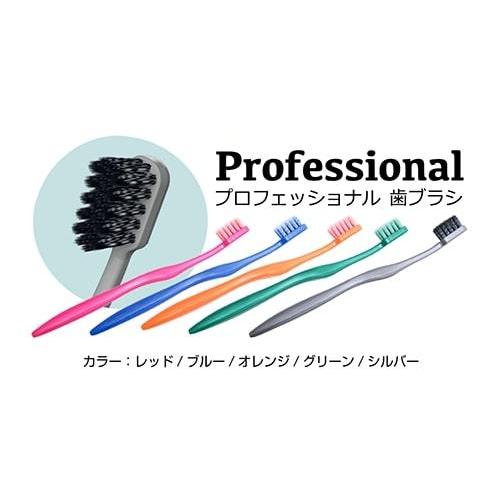 送料無料 歯ブラシ Dr.T's プロフェッショナル 歯ブラシセット