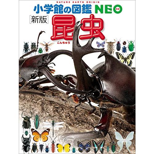昆虫 DVDつき 新版 [小学館の図鑑NEO] : 柏の葉 蔦屋書店 ヤフー店