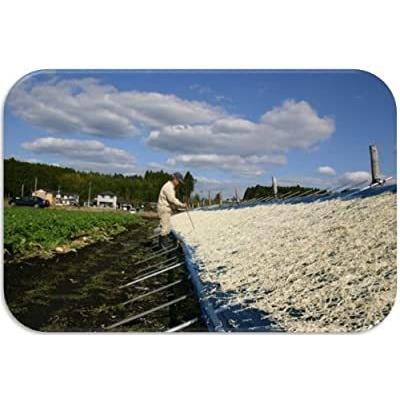 乾物屋の底力 宮崎県産 千切大根 1kg|kt-development|03