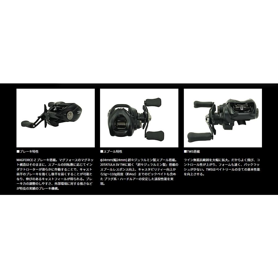 ダイワ 24タトゥーラ TW 100HL DAIWA TATULA TW 100HL｜kt-gigaweb｜06